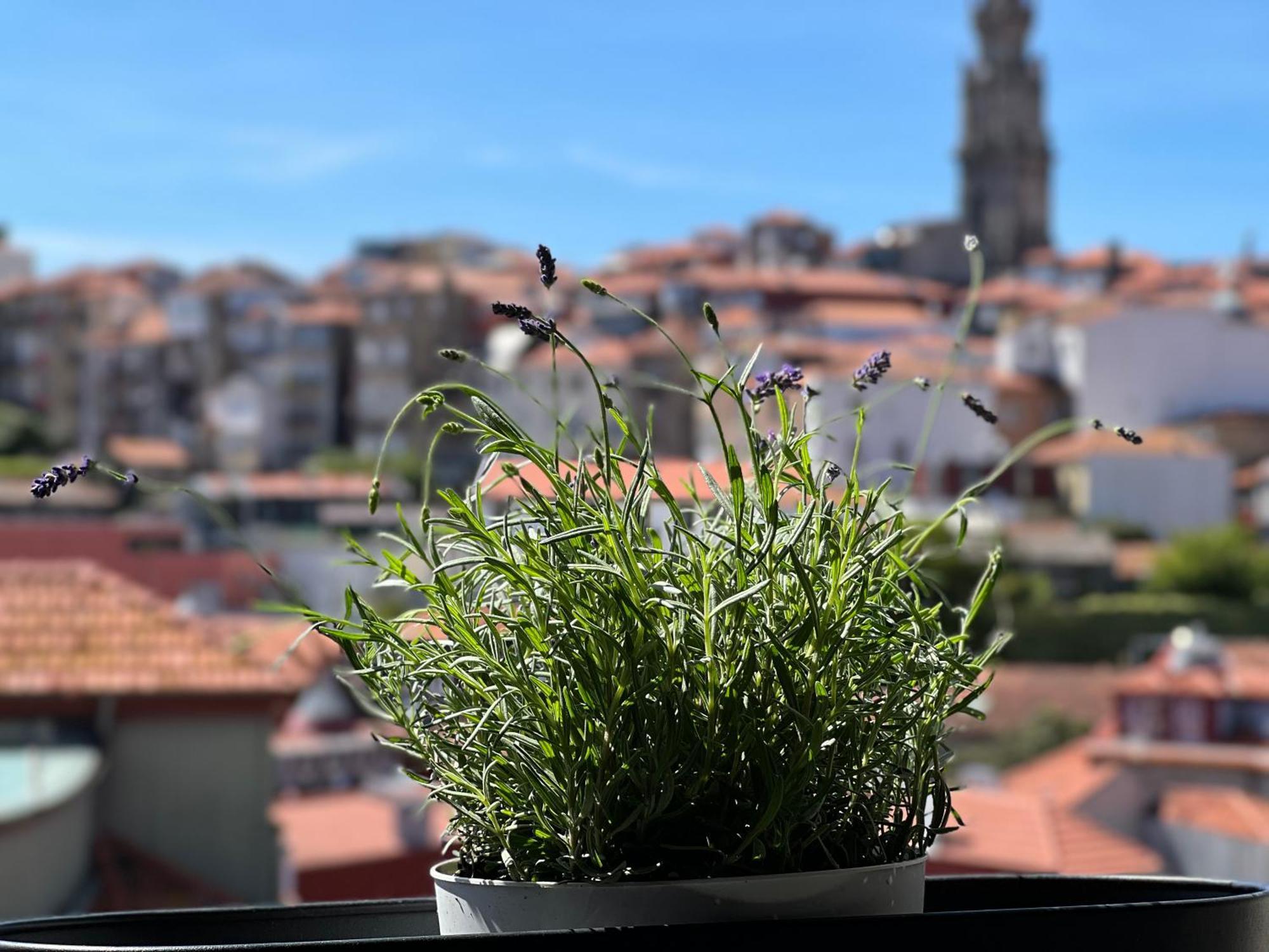 Urban Apartment Casa Da Portela Porto Luaran gambar
